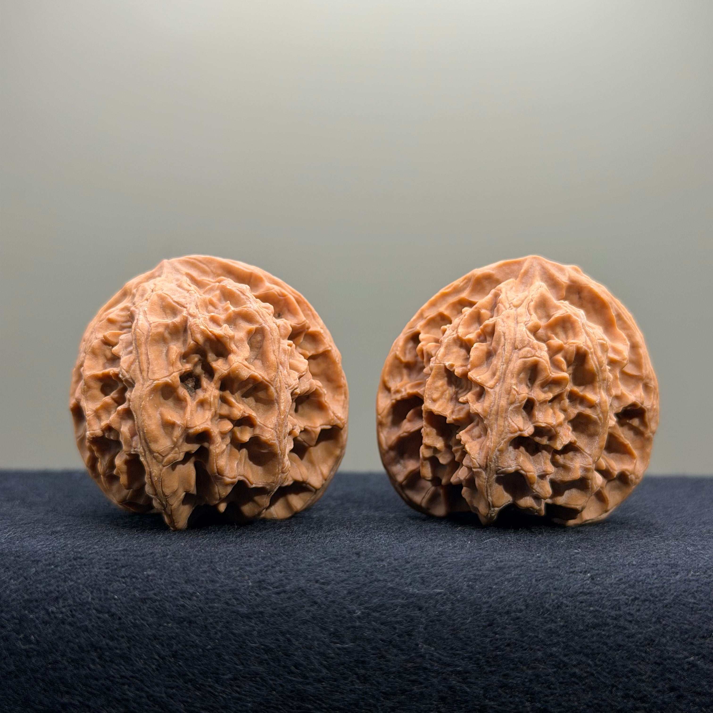 Apple Orchard Wenwan Walnut · 40mm · Natural · Entry Ritual