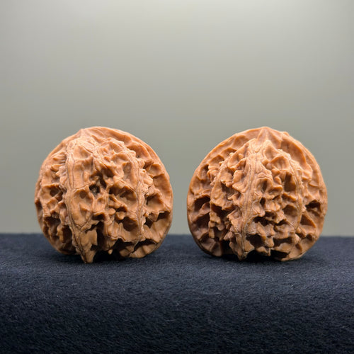 Apple Orchard Wenwan Walnut · 40mm · Natural · Entry Ritual