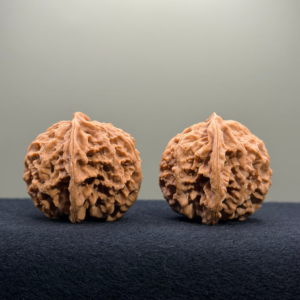 Apple Orchard Wenwan Walnut · 40mm · Natural · Entry Ritual