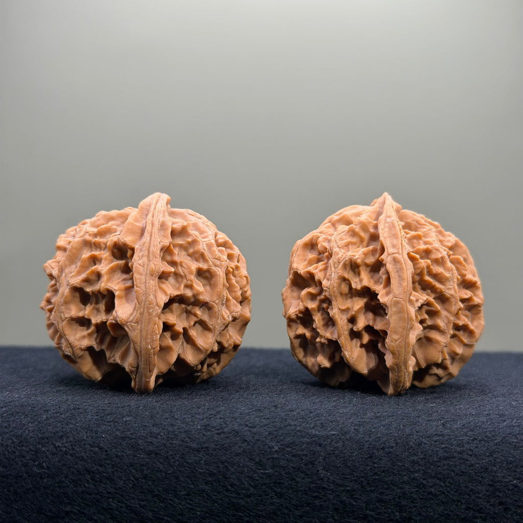 Apple Orchard Wenwan Walnut · 40mm · Natural · Entry Ritual