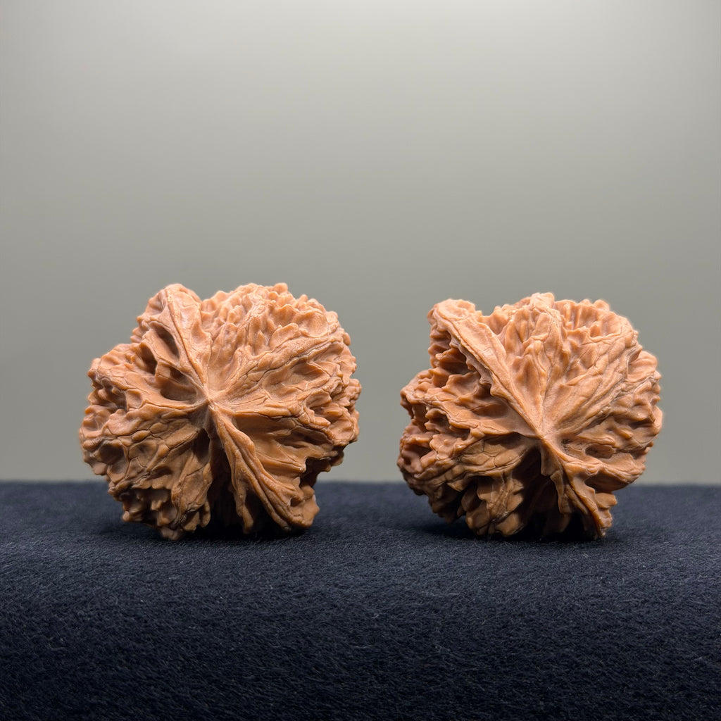 Apple Orchard Wenwan Walnut · 40mm · Natural · Entry Ritual