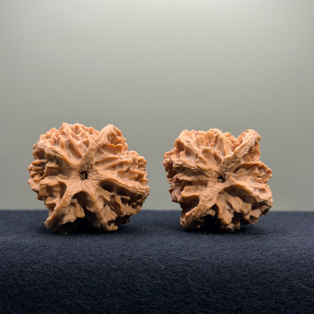 Apple Orchard Wenwan Walnut · 40mm · Natural · Entry Ritual