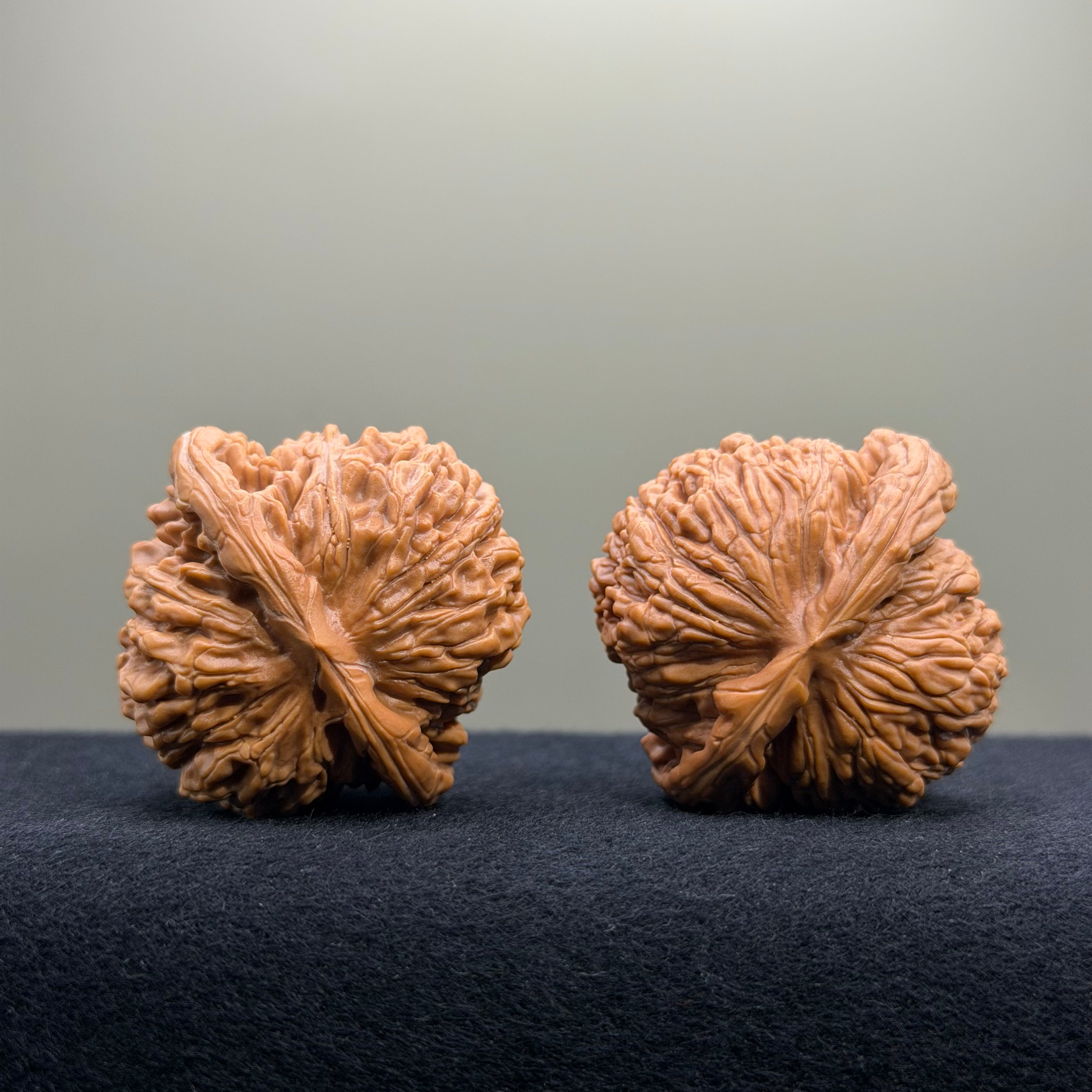Four Towers Wenwan Walnut · 42mm · Select Ritual