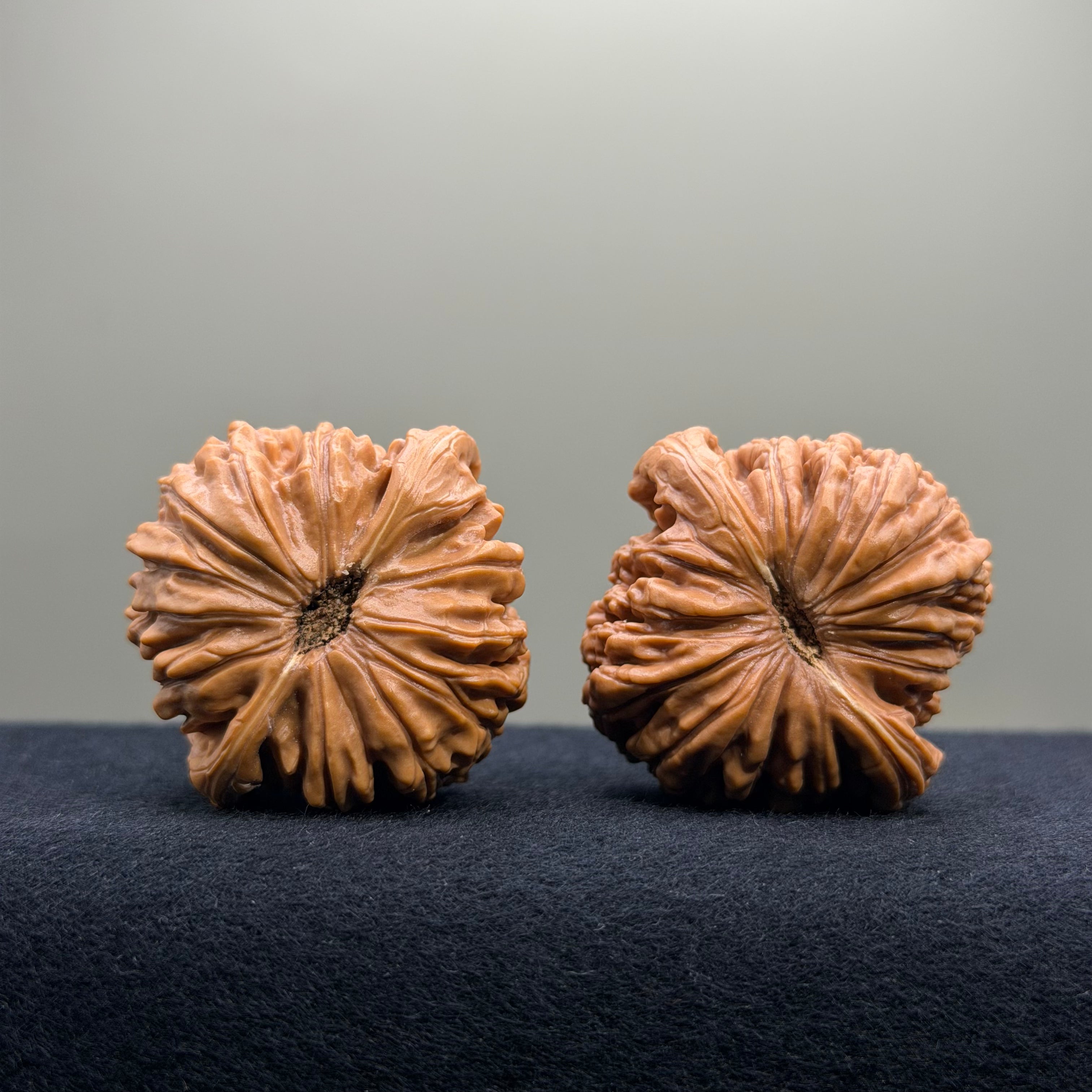 Four Towers Wenwan Walnut · 42mm · Select Ritual