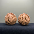 Tyrannosaur Wenwan Walnut · 41mm · Natural · Select Ritual