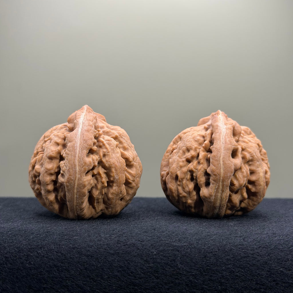 Tyrannosaur Wenwan Walnut · 41mm · Natural · Select Ritual