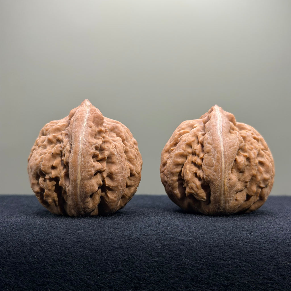 Tyrannosaur Wenwan Walnut · 41mm · Natural · Select Ritual