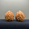 Chicken Heart Wenwan Walnut · 32mm · Natural · Premium Ritual