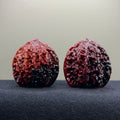 Ground Buried Starry Sky Wenwan Walnut · 40mm · Select Ritual