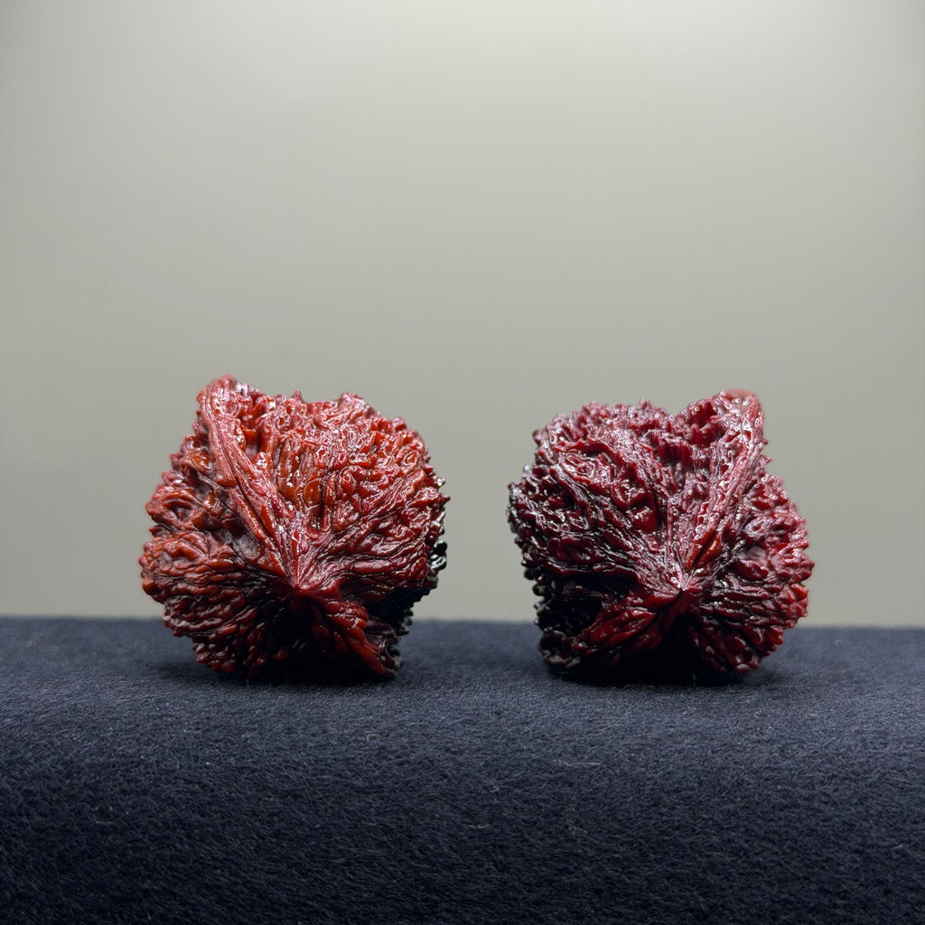 Ground Buried Starry Sky Wenwan Walnut · 40mm · Select Ritual