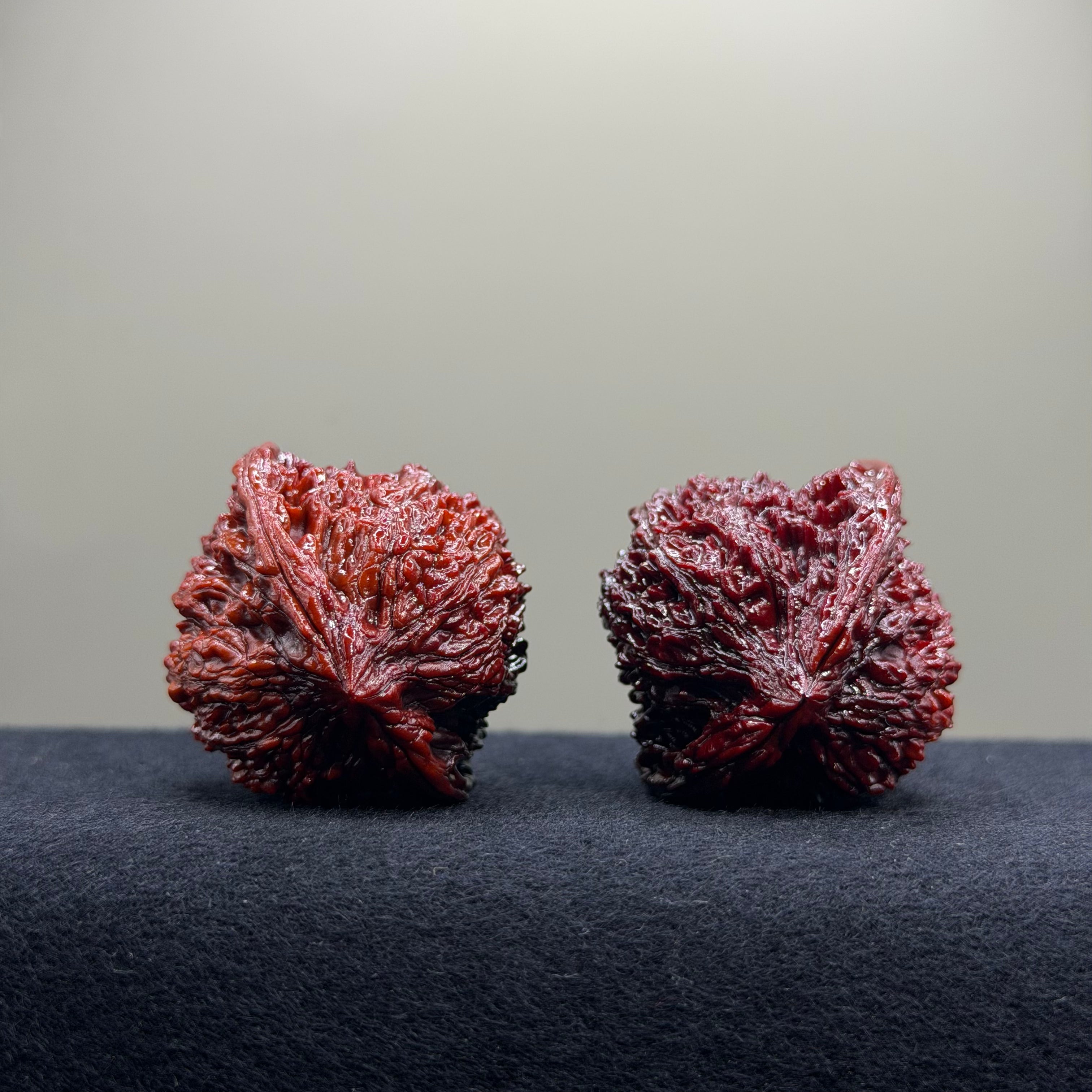 Ground Buried Starry Sky Wenwan Walnut · 40mm · Select Ritual