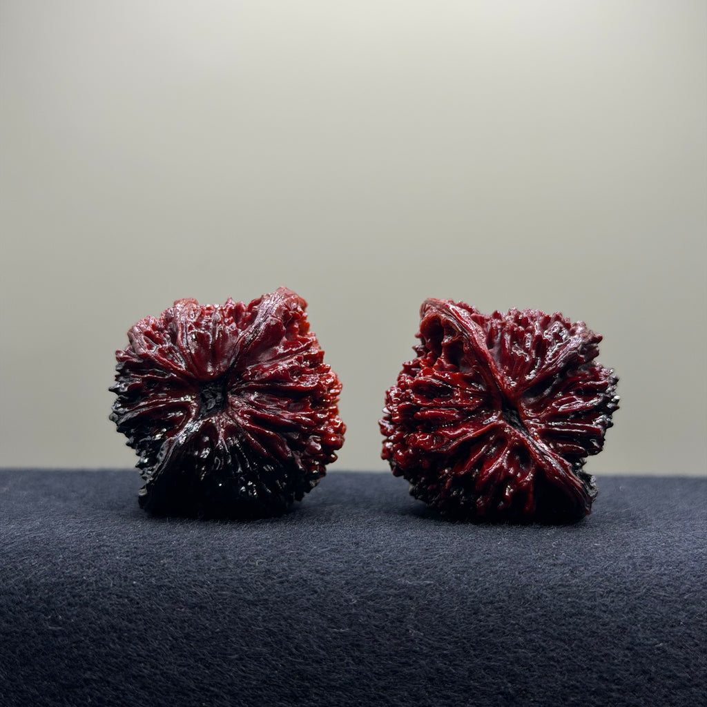 Ground Buried Starry Sky Wenwan Walnut · 40mm · Select Ritual