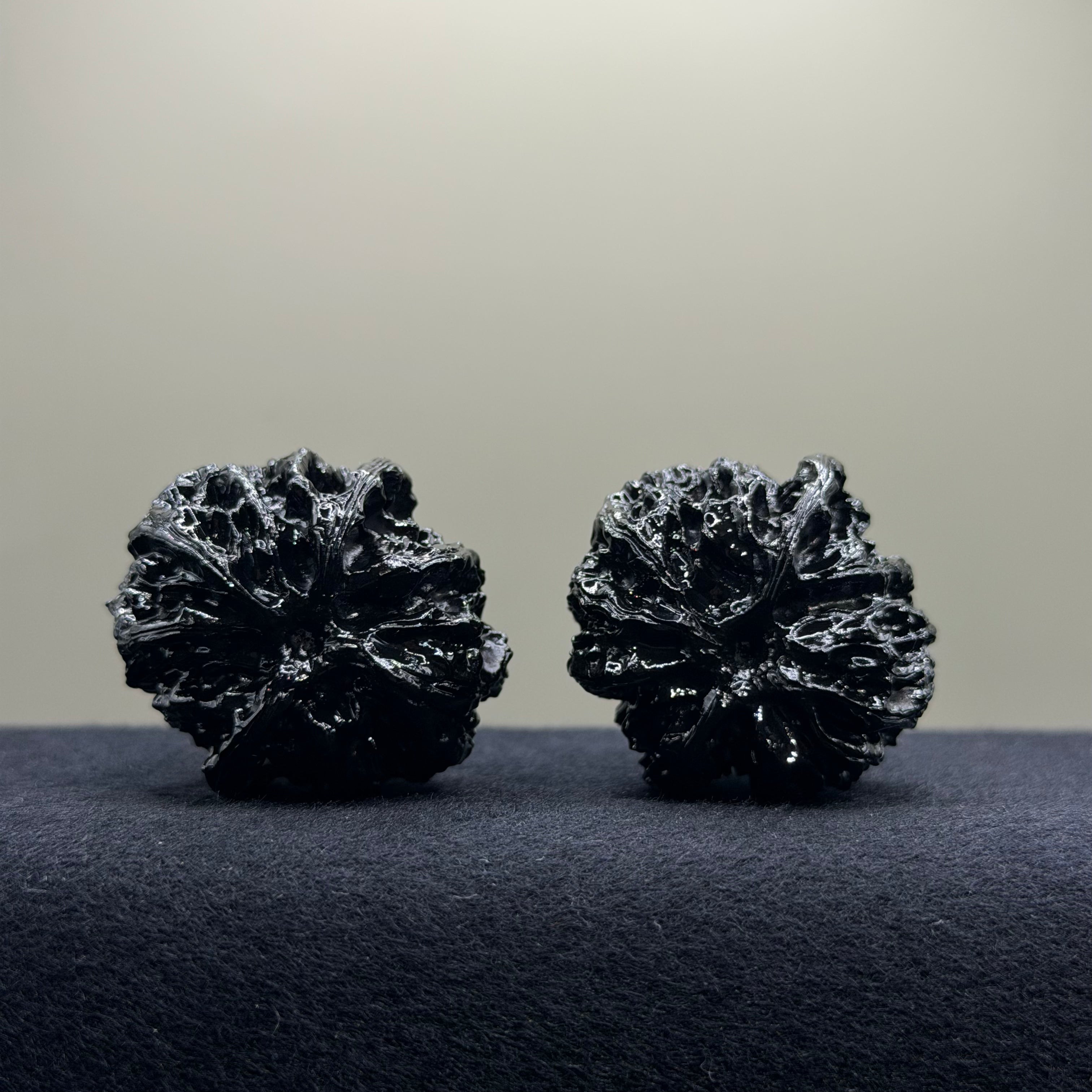 Ground Buried Apple Orchard Wenwan Walnut · 37mm · Natural · Select Ritual