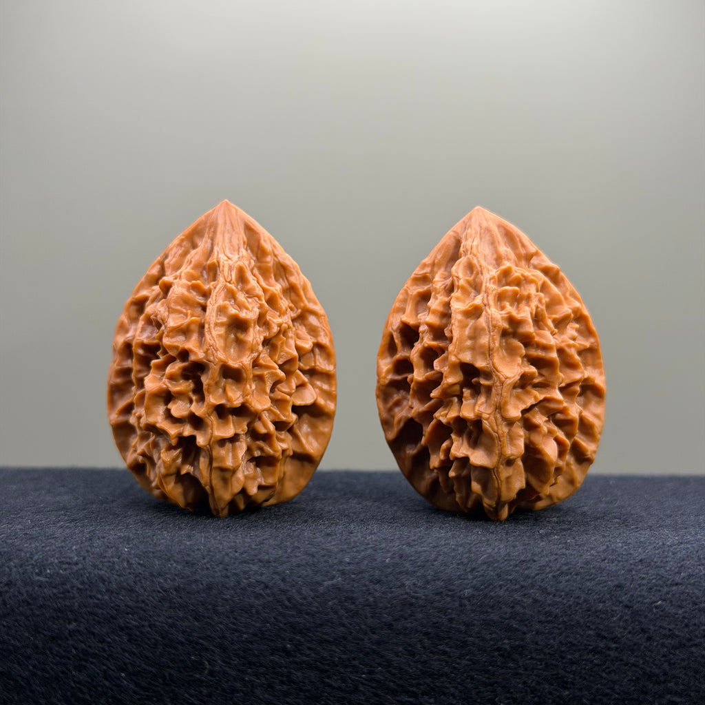 Fortune Rat Wenwan Walnut · 35mm · Select Ritual