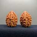 Fortune Rat Wenwan Walnut · 35mm · Select Ritual