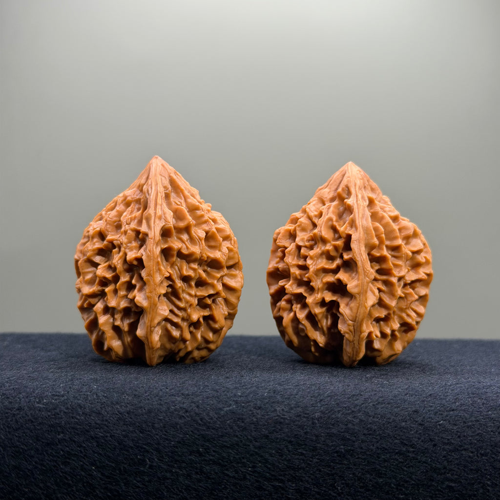 Fortune Rat Wenwan Walnut · 35mm · Select Ritual