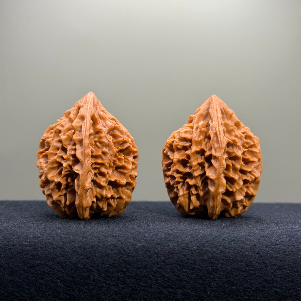Fortune Rat Wenwan Walnut · 35mm · Select Ritual