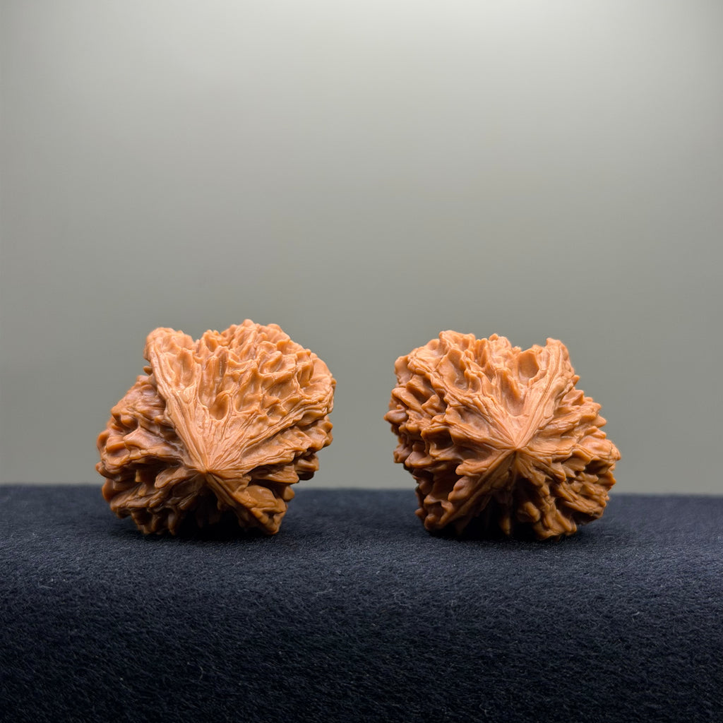 Fortune Rat Wenwan Walnut · 35mm · Select Ritual