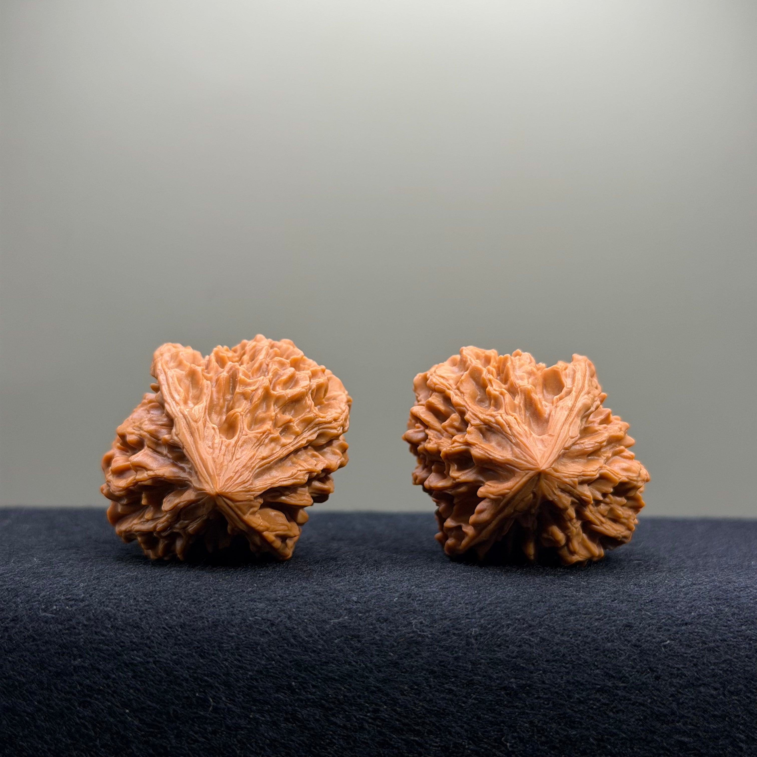 Fortune Rat Wenwan Walnut · 35mm · Select Ritual