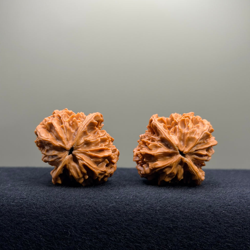 Fortune Rat Wenwan Walnut · 35mm · Select Ritual