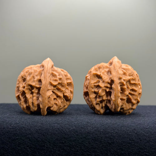 Cao Dalong Wenwan Walnut · 38mm · Premium Ritual