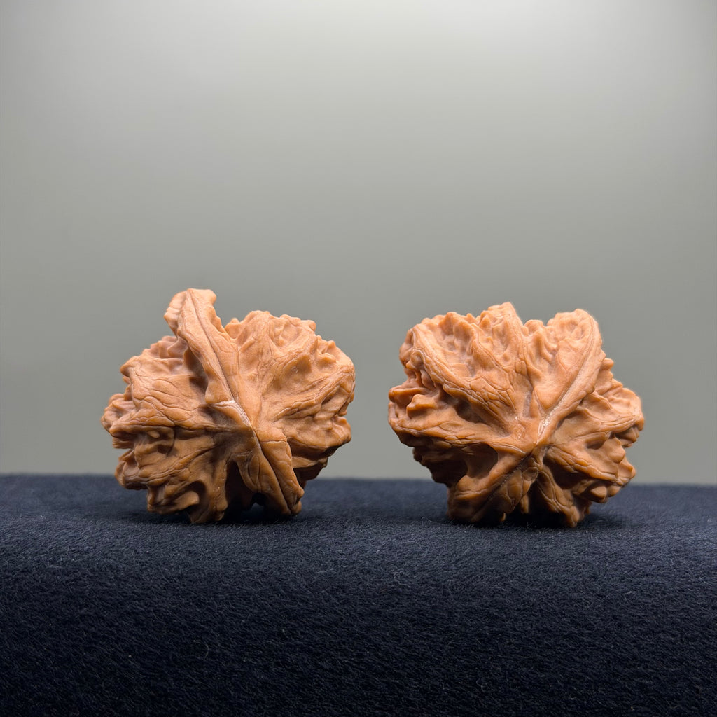 Cao Dalong Wenwan Walnut · 38mm · Premium Ritual