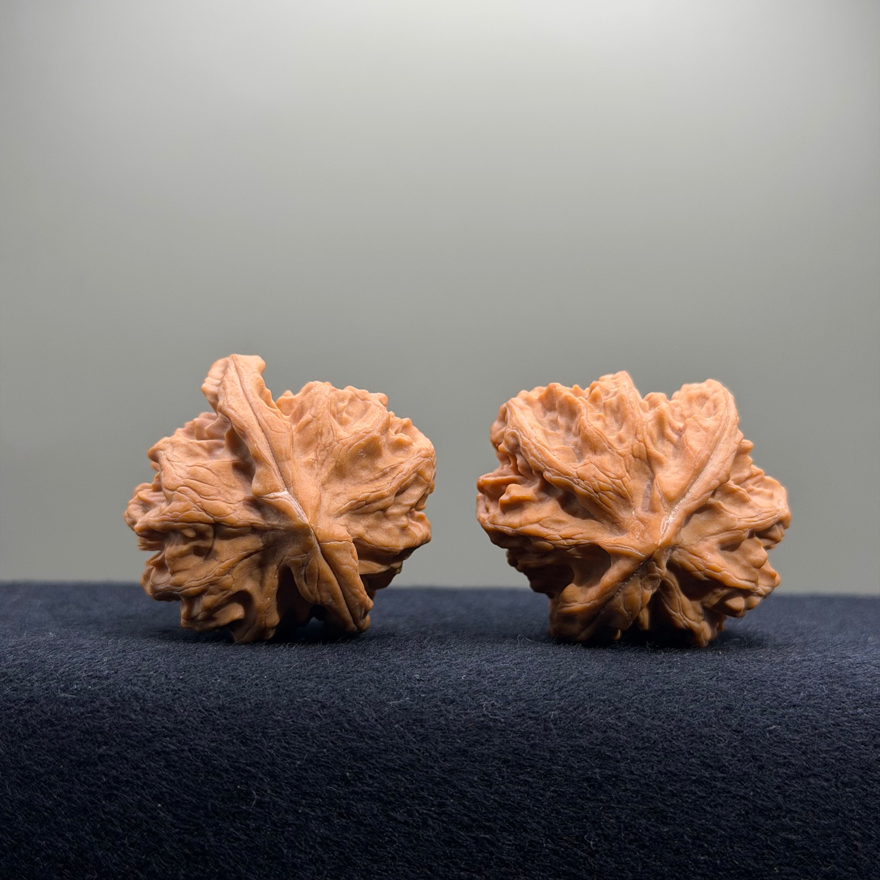 Cao Dalong Wenwan Walnut · 38mm · Premium Ritual