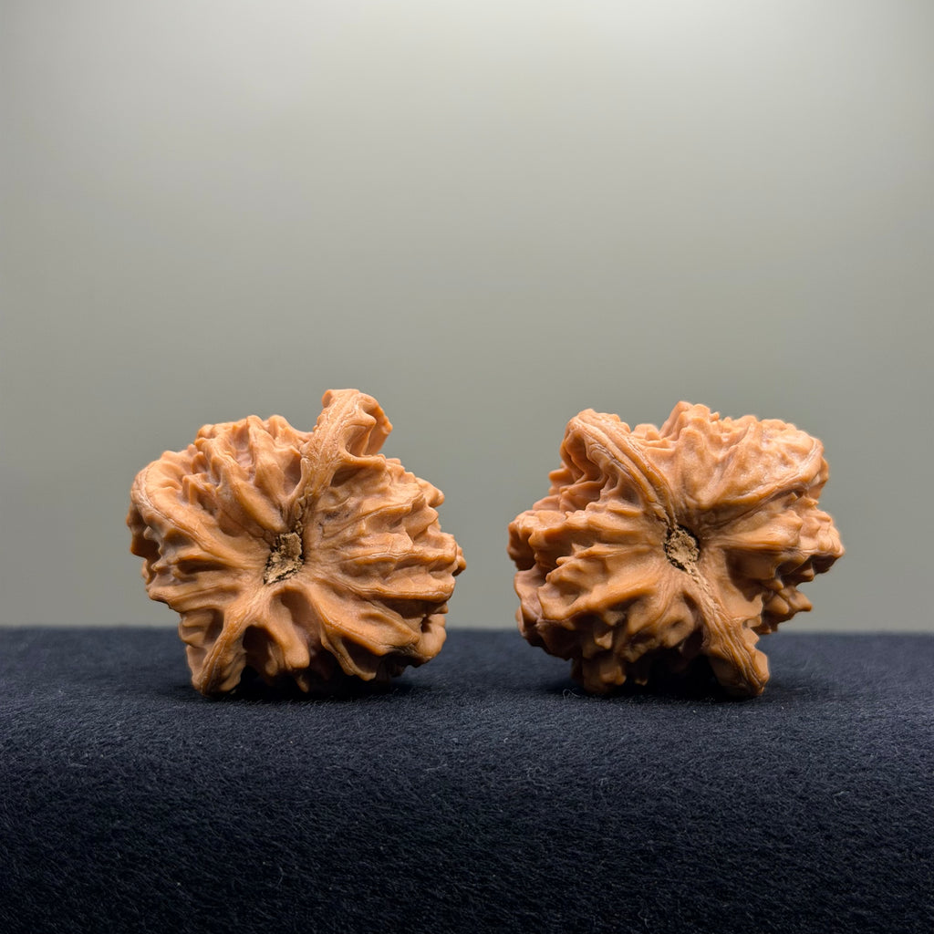 Cao Dalong Wenwan Walnut · 38mm · Premium Ritual