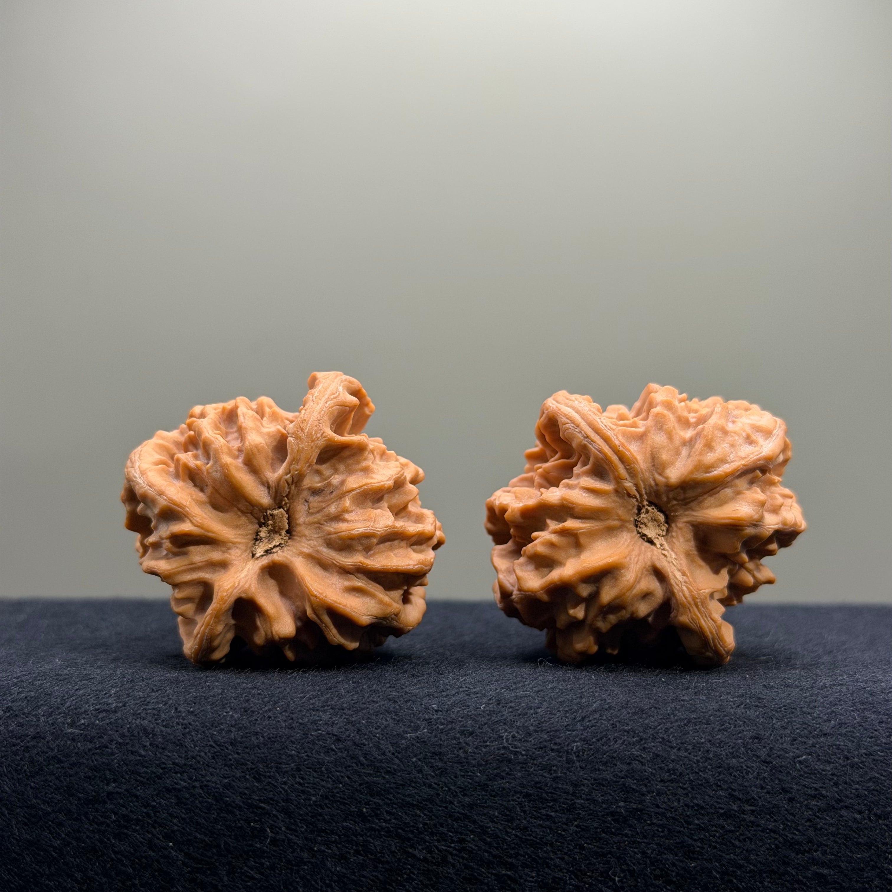 Cao Dalong Wenwan Walnut · 38mm · Premium Ritual