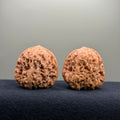 Pinggu Concave Base Wenwan Walnut · 38mm · Natural · Select Ritual