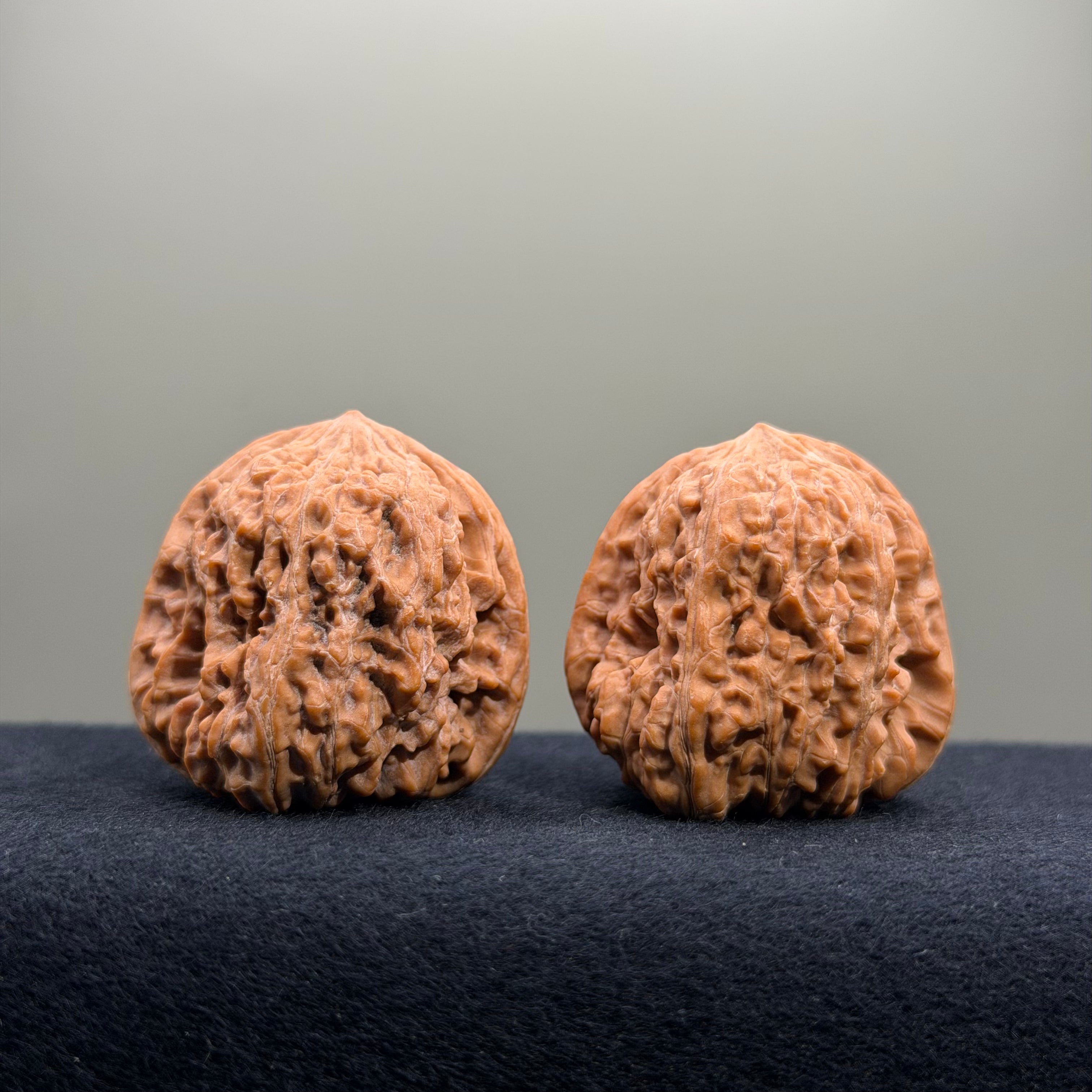Pinggu Concave Base Wenwan Walnut · 38mm · Natural · Select Ritual