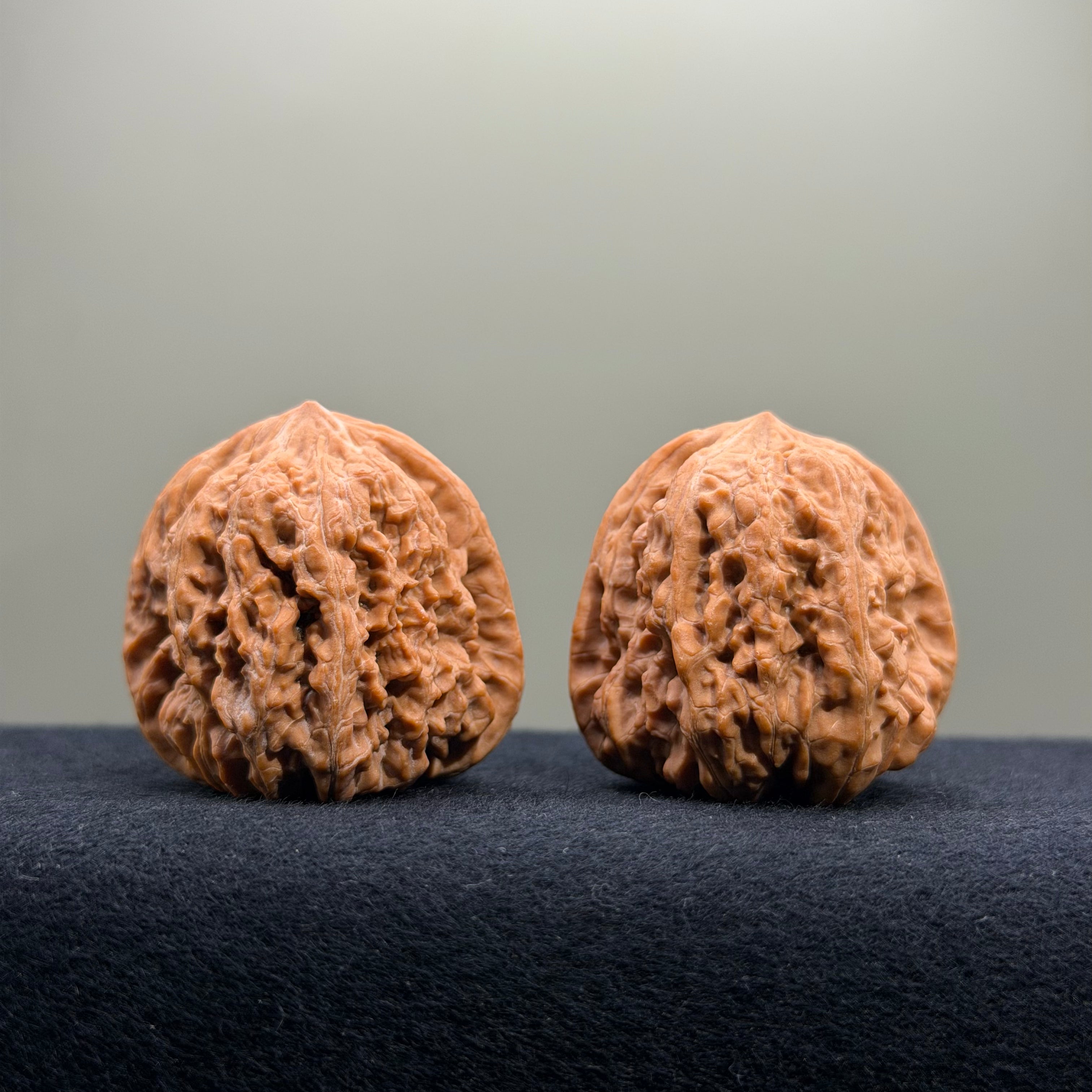 Pinggu Concave Base Wenwan Walnut · 38mm · Natural · Select Ritual