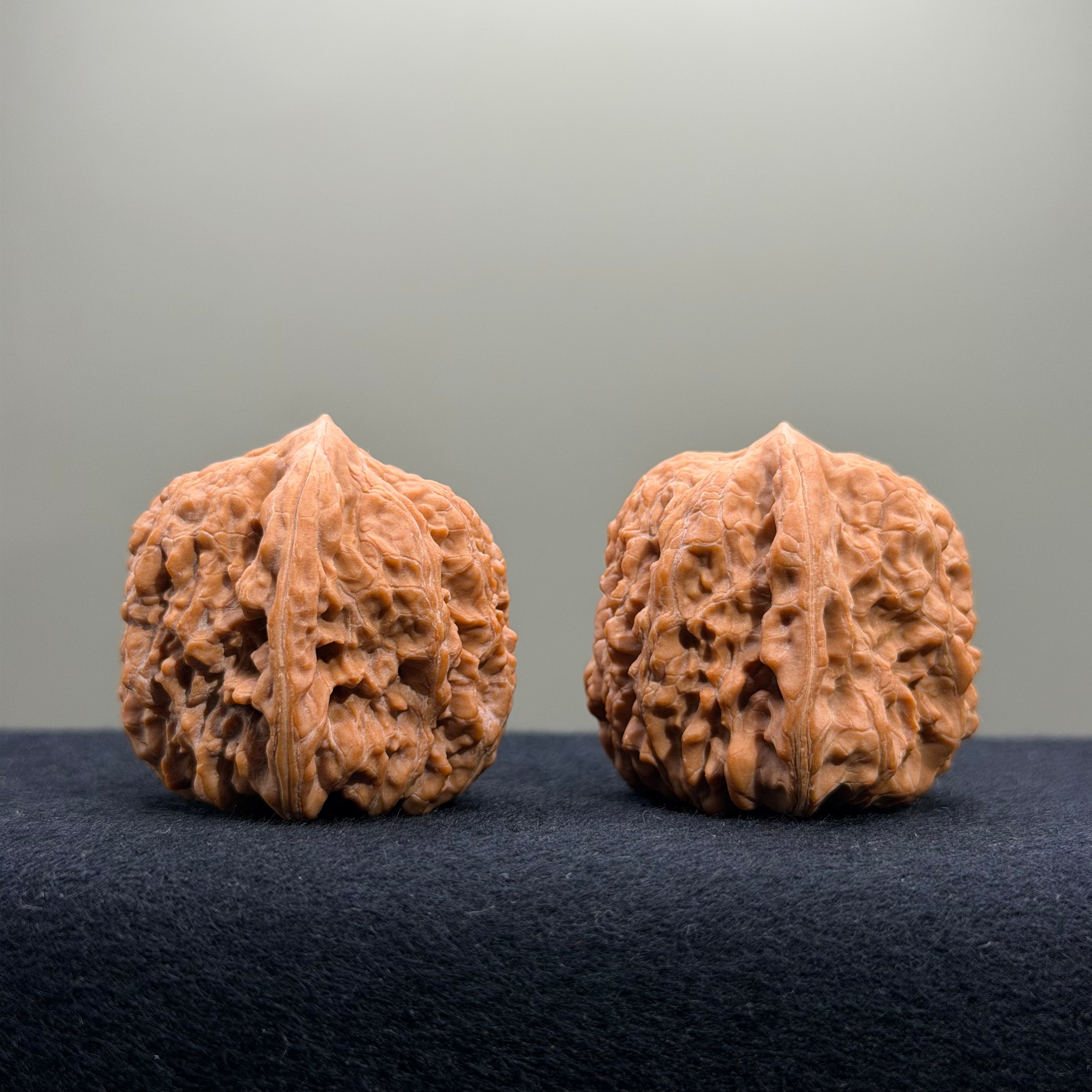 Pinggu Concave Base Wenwan Walnut · 38mm · Natural · Select Ritual