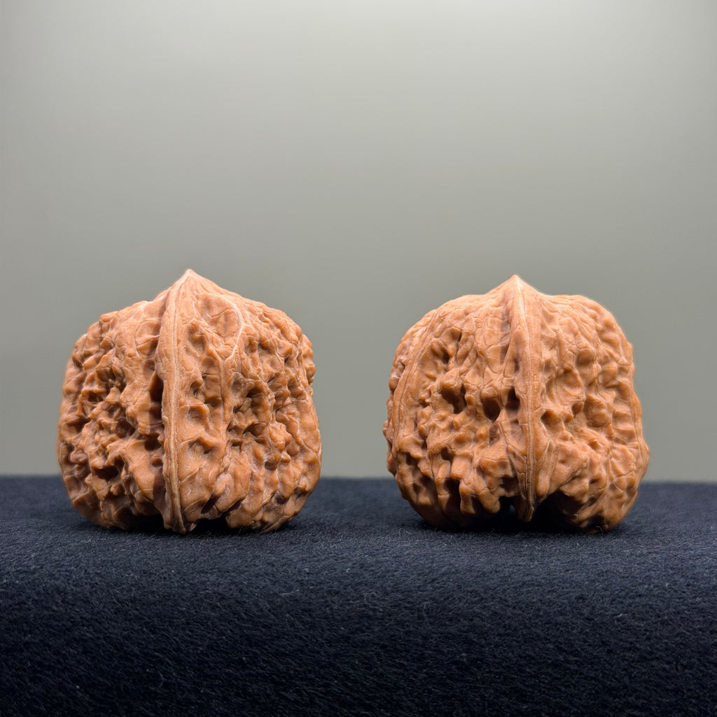 Pinggu Concave Base Wenwan Walnut · 38mm · Natural · Select Ritual