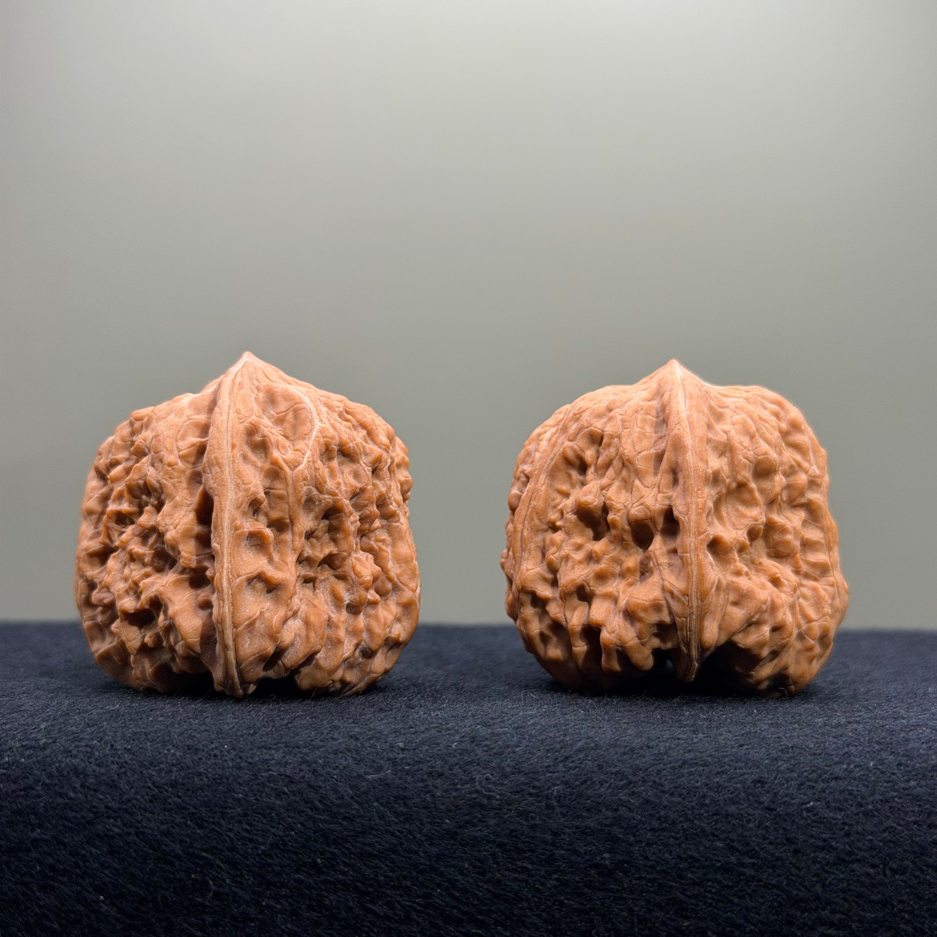 Pinggu Concave Base Wenwan Walnut · 38mm · Natural · Select Ritual