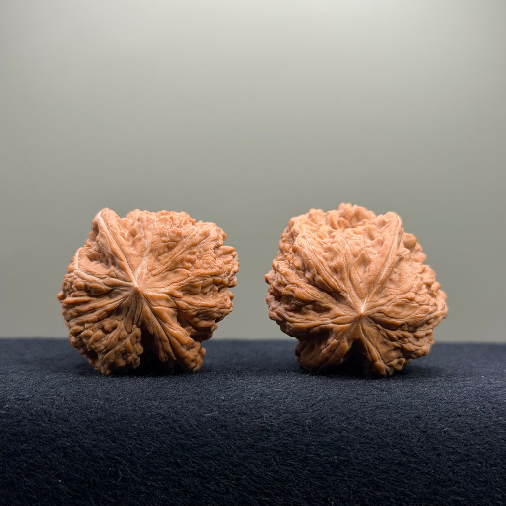 Pinggu Concave Base Wenwan Walnut · 38mm · Natural · Select Ritual