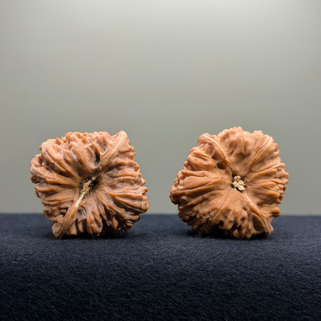Pinggu Concave Base Wenwan Walnut · 38mm · Natural · Select Ritual