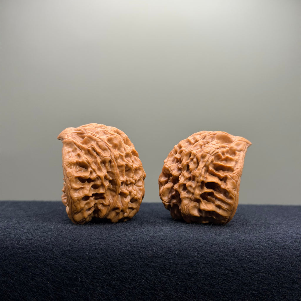 Treasure Basin Wenwan Walnut · 40mm · Select Ritual