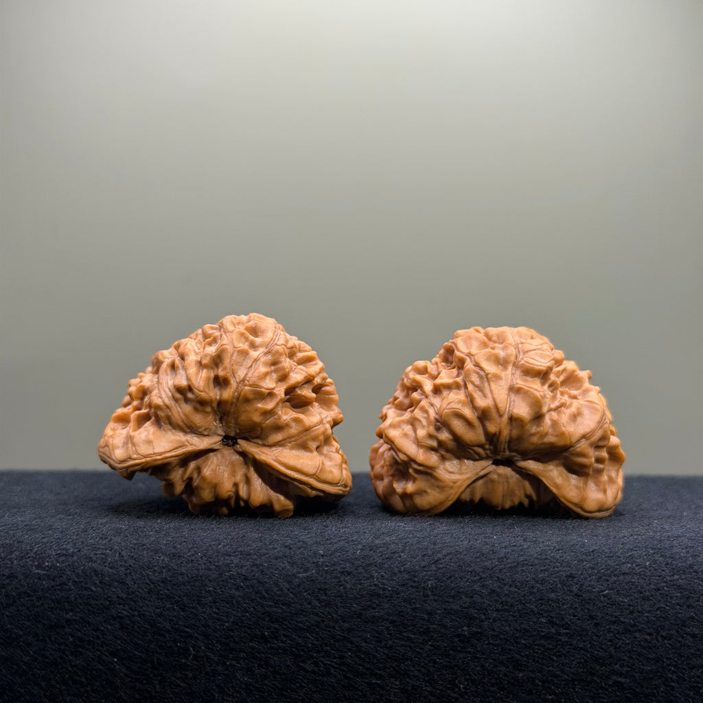 Treasure Basin Wenwan Walnut · 40mm · Select Ritual