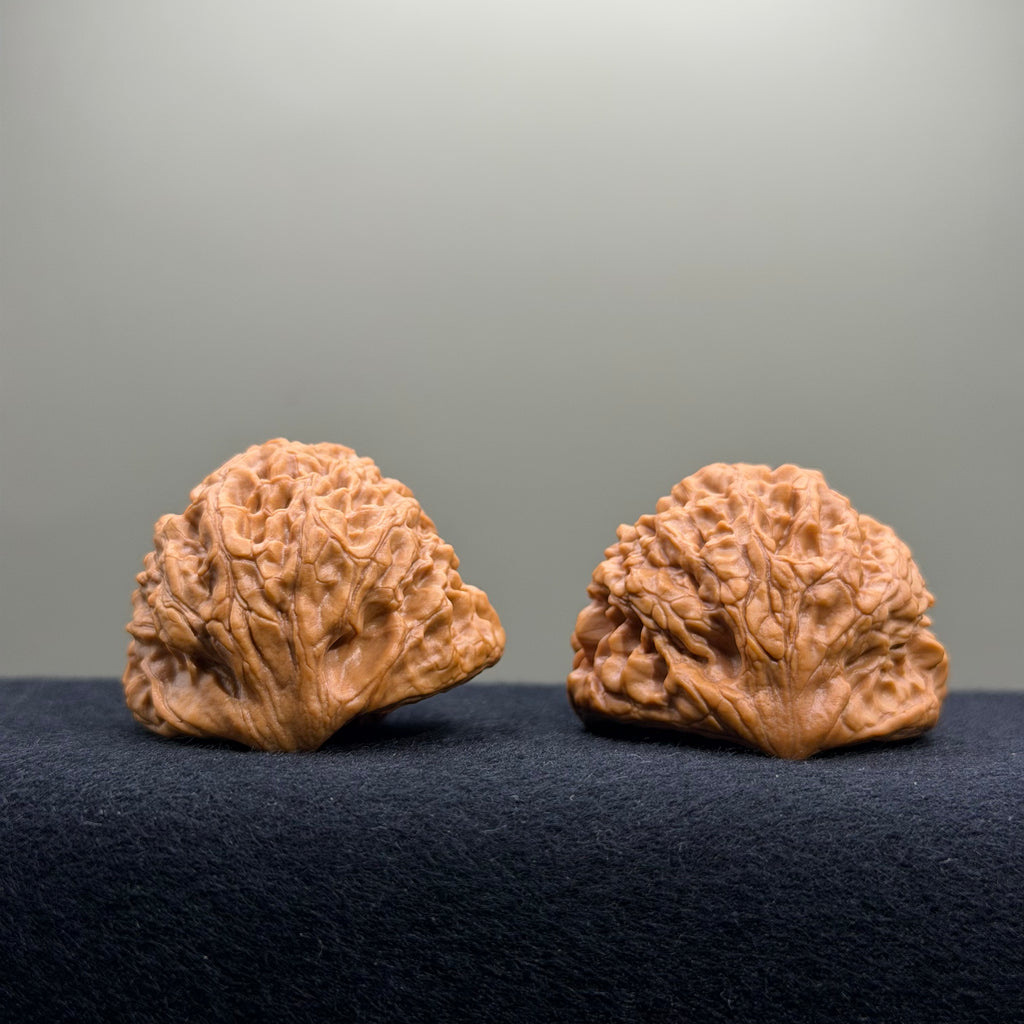 Treasure Basin Wenwan Walnut · 40mm · Select Ritual