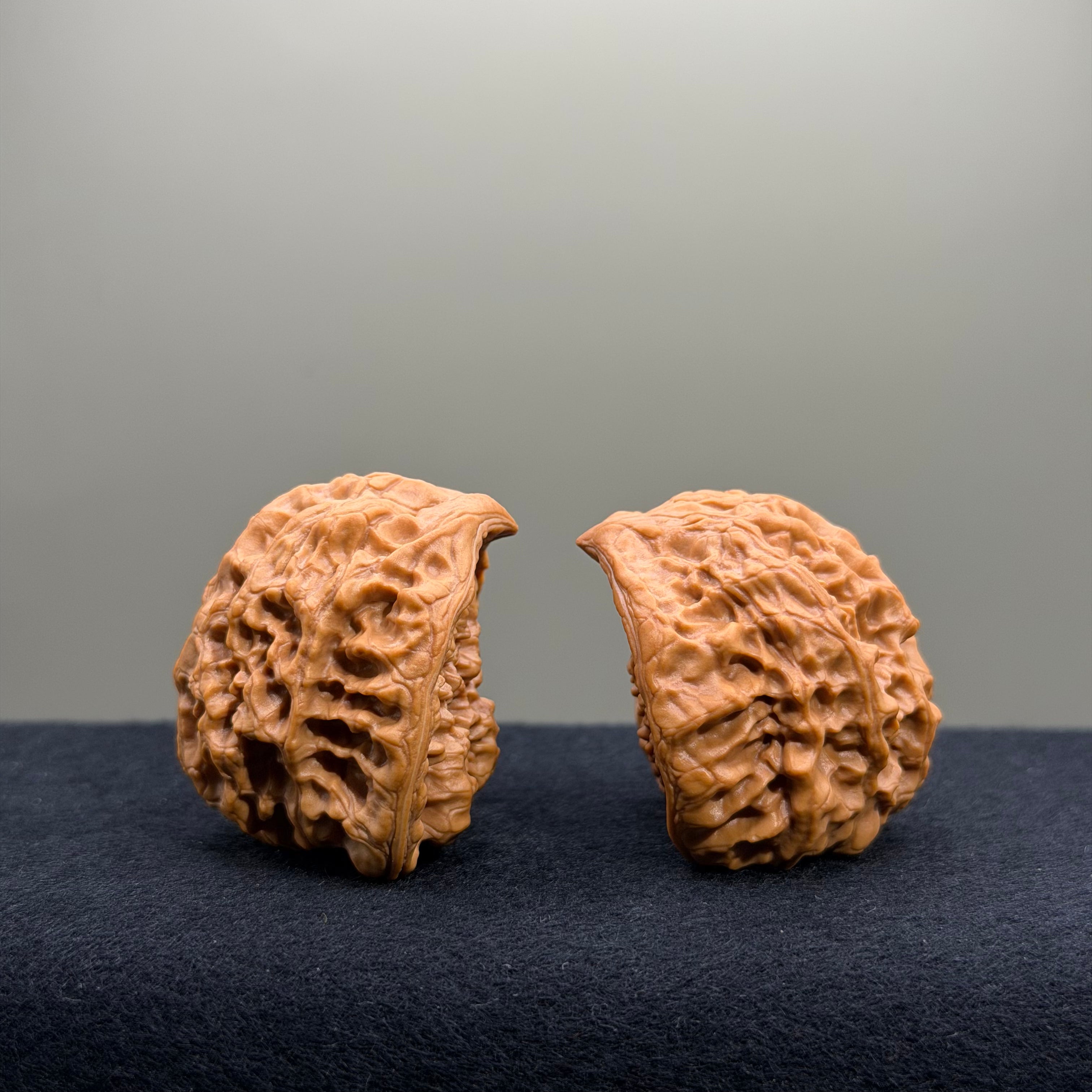 Treasure Basin Wenwan Walnut · 40mm · Select Ritual