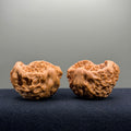Treasure Basin Wenwan Walnut · 43mm · Select Ritual