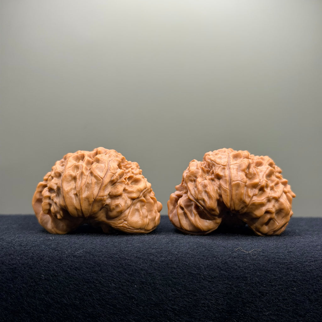 Treasure Basin Wenwan Walnut · 43mm · Select Ritual