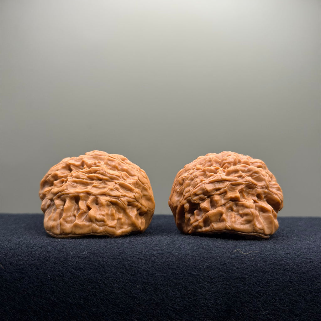 Treasure Basin Wenwan Walnut · 43mm · Select Ritual