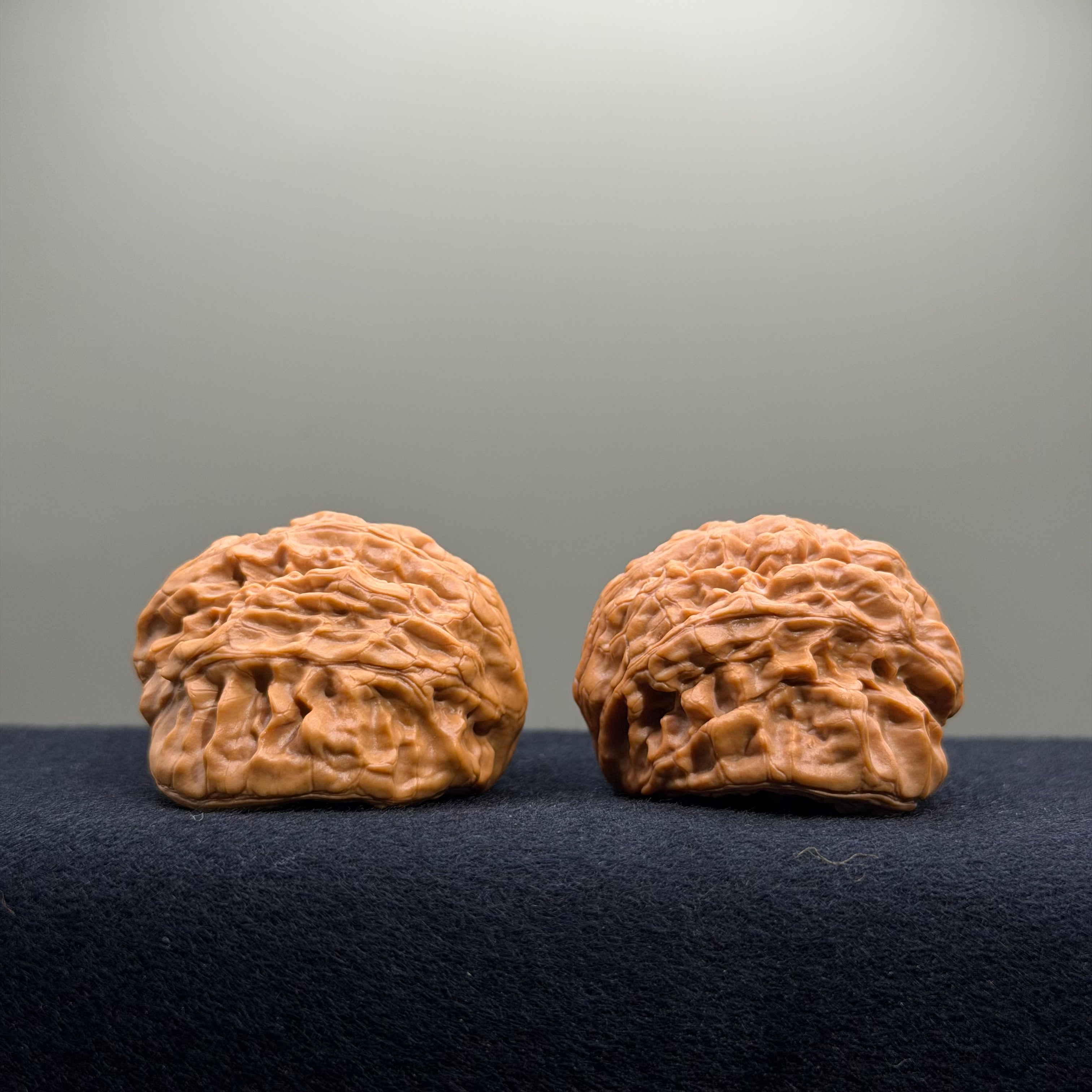 Treasure Basin Wenwan Walnut · 43mm · Select Ritual