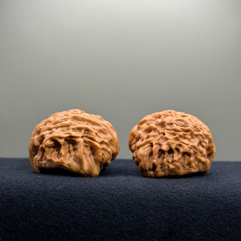 Treasure Basin Wenwan Walnut · 43mm · Select Ritual