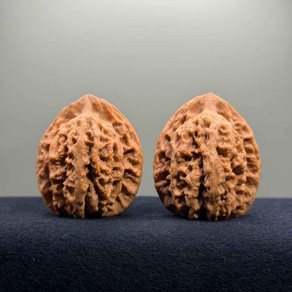 Dragon Spine Wenwan Walnut · 40mm · Natural · Premium Ritual