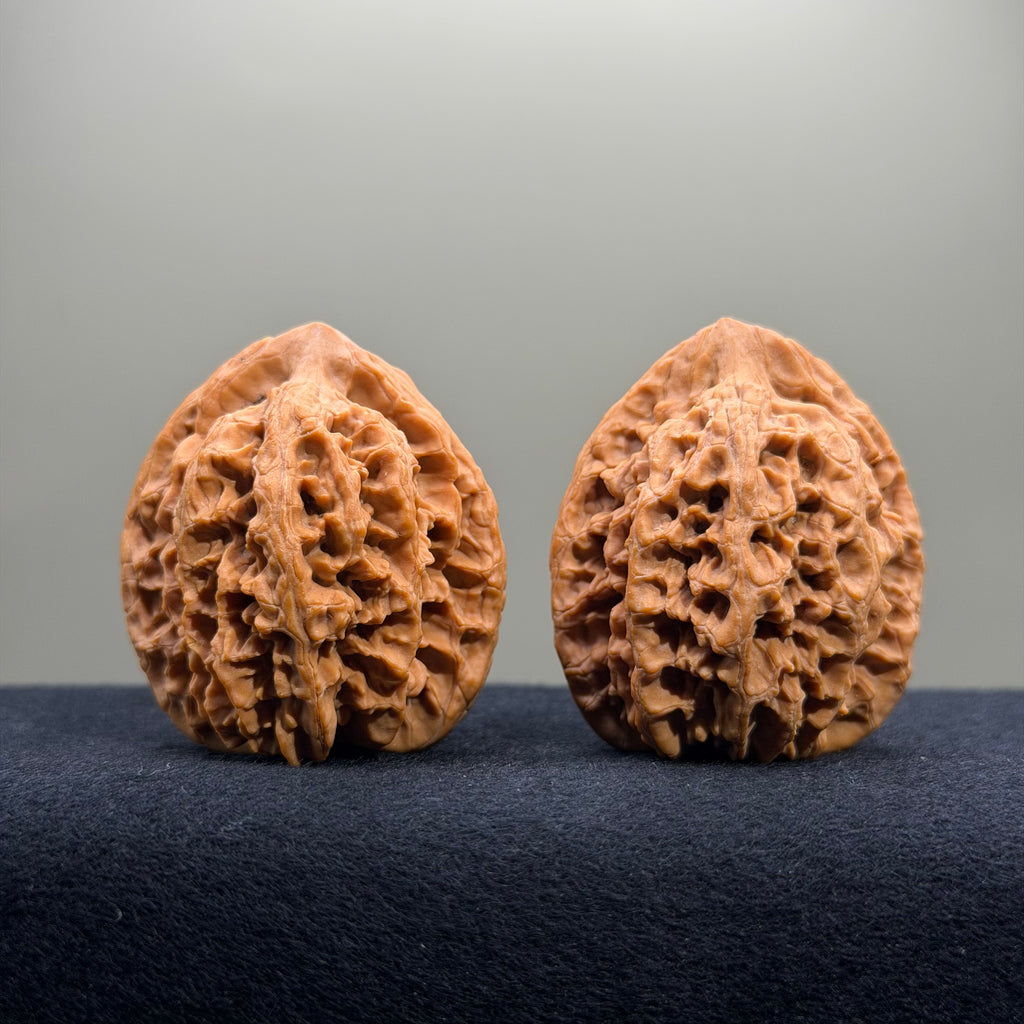 Dragon Spine Wenwan Walnut · 40mm · Natural · Premium Ritual