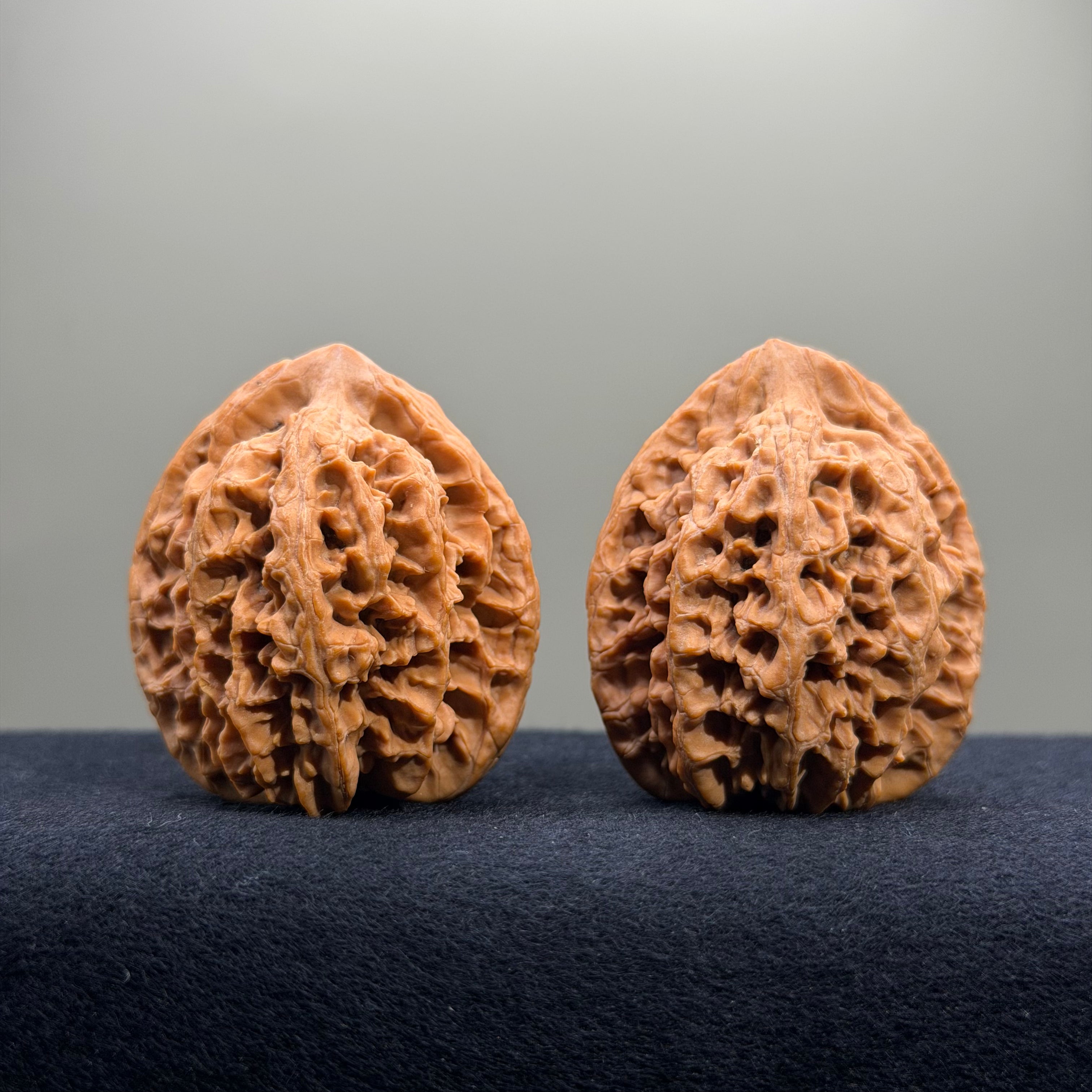 Dragon Spine Wenwan Walnut · 40mm · Natural · Premium Ritual