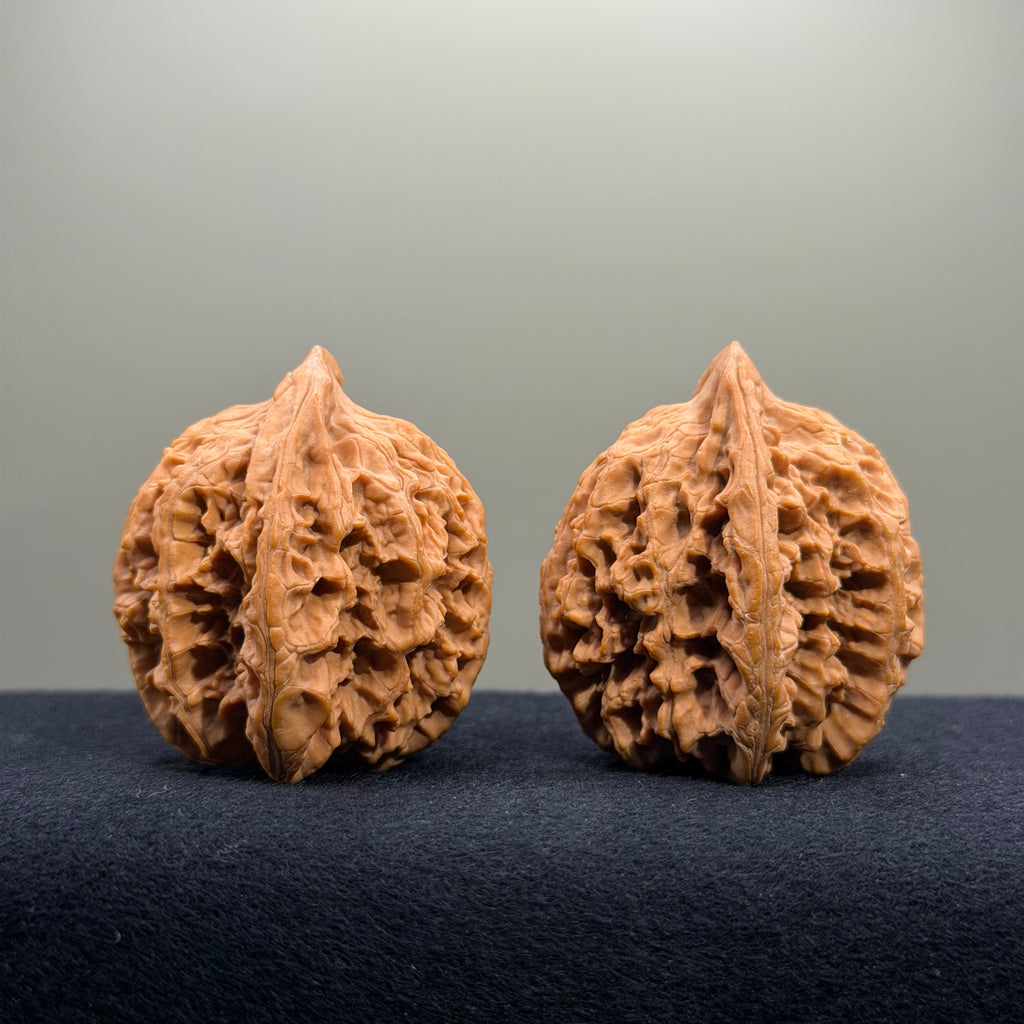 Dragon Spine Wenwan Walnut · 40mm · Natural · Premium Ritual